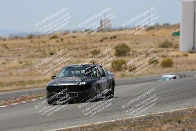 media/May-03-2025-Lucky Dog Racing (Sat) [[206de64b9d]]/Turn 6 (150pm-230pm)/